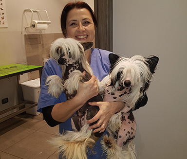 ambulatorio veterinario a siracusa